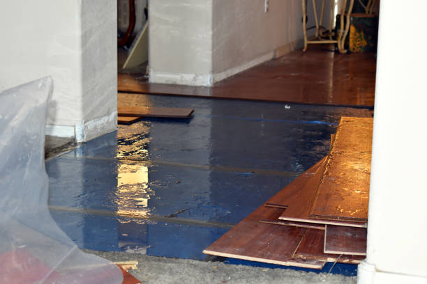 Professional Basement Flood Cleanup technician working in Chauncey, OH